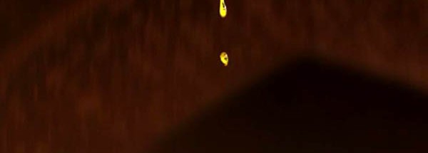 瑜伽經洛阿育吠陀滴油療法產品宣傳片設計制案例